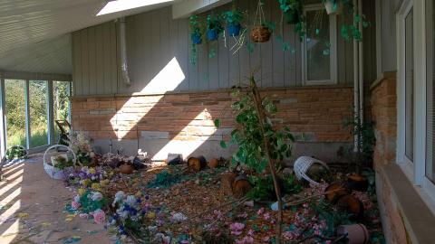 Discovery - Summer 2012 - ferndaleDSC_0246.jpg