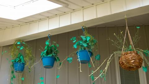 Discovery - Summer 2012 - ferndaleDSC_0247.jpg