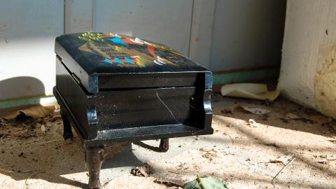 Discovery - Summer 2012 - ferndaleDSC_0248.jpg