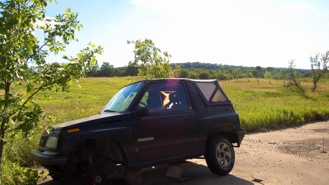 Discovery - Summer 2012 - ferndaleDSC_0254.jpg