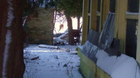 Rooms With A View 2nd Gallery - Neglected-Manor115.jpg