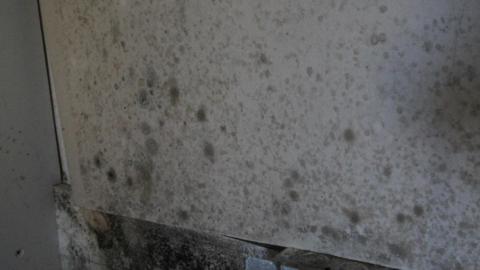 ITSSSSS SOOOOOO FLUUUUUFFFFFFFYYYYYY! (2 Months - Semi-Final Form) - IMG_2448.JPG