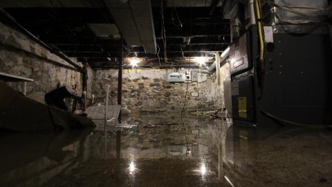 ITSSSSS SOOOOOO FLUUUUUFFFFFFFYYYYYY! (2 Months - Semi-Final Form) - IMG_2444.JPG