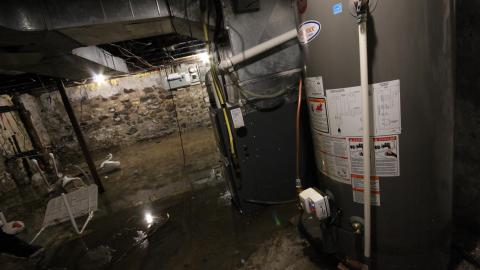 ITSSSSS SOOOOOO FLUUUUUFFFFFFFYYYYYY! (2 Months - Semi-Final Form) - IMG_2442.JPG