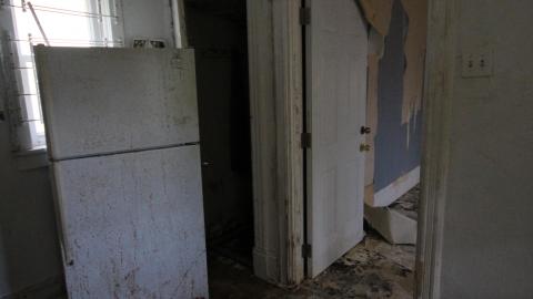 ITSSSSS SOOOOOO FLUUUUUFFFFFFFYYYYYY! (2 Months - Semi-Final Form) - IMG_2436.JPG