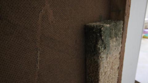 ITSSSSS SOOOOOO FLUUUUUFFFFFFFYYYYYY! (2 Months - Semi-Final Form) - IMG_2435.JPG