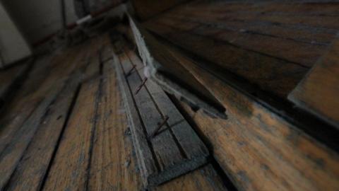 ITSSSSS SOOOOOO FLUUUUUFFFFFFFYYYYYY! (2 Months - Semi-Final Form) - IMG_2420.JPG