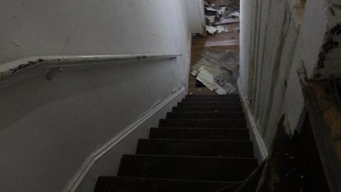 ITSSSSS SOOOOOO FLUUUUUFFFFFFFYYYYYY! (2 Months - Semi-Final Form) - IMG_2417.JPG