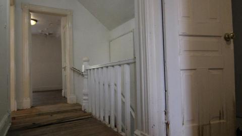 ITSSSSS SOOOOOO FLUUUUUFFFFFFFYYYYYY! (2 Months - Semi-Final Form) - IMG_2415.JPG