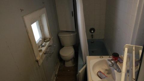 ITSSSSS SOOOOOO FLUUUUUFFFFFFFYYYYYY! (2 Months - Semi-Final Form) - IMG_2413.JPG