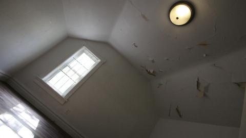 ITSSSSS SOOOOOO FLUUUUUFFFFFFFYYYYYY! (2 Months - Semi-Final Form) - IMG_2411.JPG