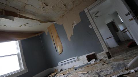 ITSSSSS SOOOOOO FLUUUUUFFFFFFFYYYYYY! (2 Months - Semi-Final Form) - IMG_2406.JPG