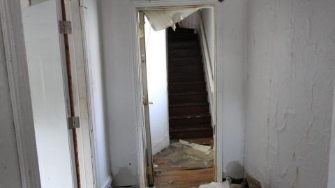 ITSSSSS SOOOOOO FLUUUUUFFFFFFFYYYYYY! (2 Months - Semi-Final Form) - IMG_2400.JPG