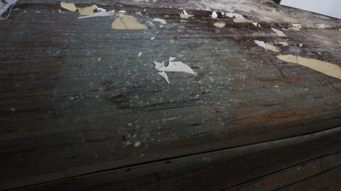 ITSSSSS SOOOOOO FLUUUUUFFFFFFFYYYYYY! (2 Months - Semi-Final Form) - IMG_2395.JPG