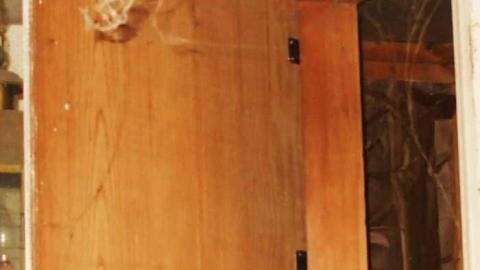 Rooms With A View 2nd Gallery - Neglected-Manor134.jpg