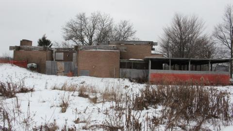 Once Upon A Dream JAN '21 - IMG_5623.JPG