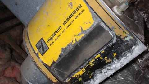 Once Upon A Dream JAN '21 - IMG_5618.JPG