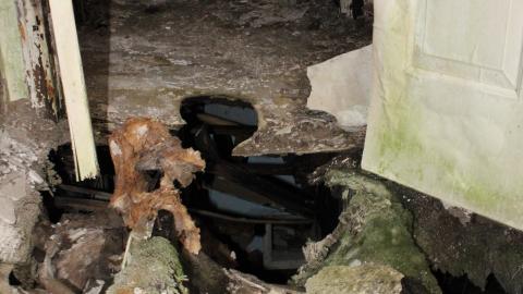 Once Upon A Dream JAN '21 - IMG_5616.JPG