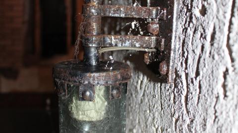 Once Upon A Dream JAN '21 - IMG_5608.JPG