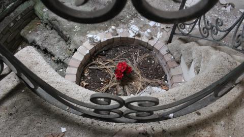 Once Upon A Dream JAN '21 - IMG_5582.JPG