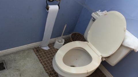 Once Upon A Dream JAN '21 - IMG_5553.JPG