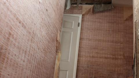 Once Upon A Dream JAN '21 - IMG_5540.JPG