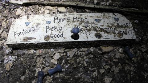 Once Upon A Dream JAN '21 - IMG_5533.JPG