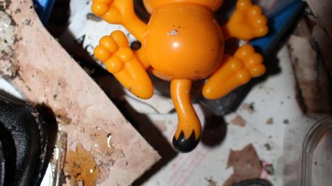 Once Upon A Dream JAN '21 - IMG_5522.JPG