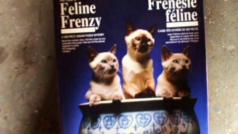 Rooms With A View 2nd Gallery - Neglected-Manor136.jpg