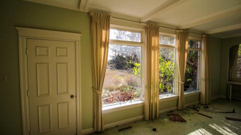 hidden in plain sight - IMG_7541.jpg