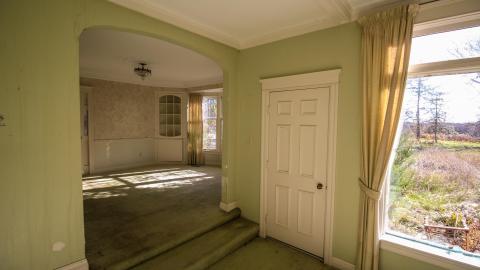 hidden in plain sight - IMG_7542.jpg