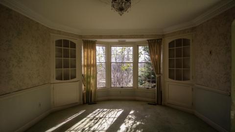 hidden in plain sight - IMG_7560.jpg