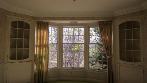 hidden in plain sight - IMG_7561.jpg