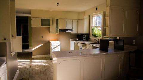 hidden in plain sight - IMG_7562.jpg