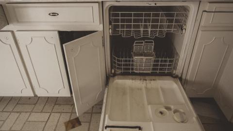 hidden in plain sight - IMG_7568.jpg