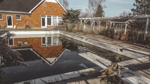 hidden in plain sight - IMG_7572.jpg