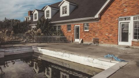 hidden in plain sight - IMG_7595.jpg