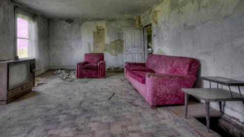 August 2020 - Collages16.jpg