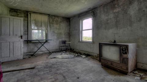 August 2020 - Collages19.jpg