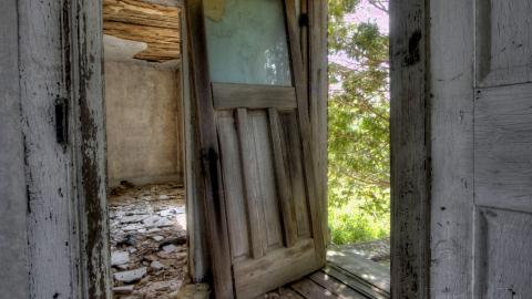 August 2020 - Collages23.jpg