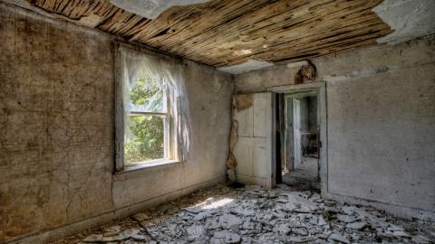 August 2020 - Collages25.jpg