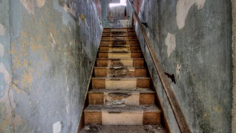 August 2020 - Collages26.jpg