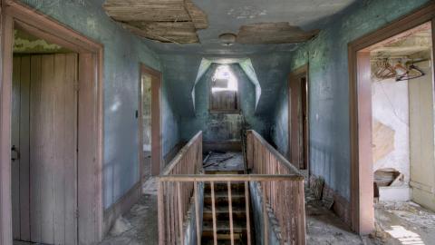 August 2020 - Collages35.jpg