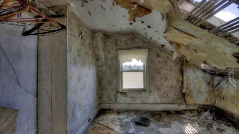 August 2020 - Collages38.jpg