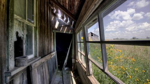 August 2020 - Collages40.jpg