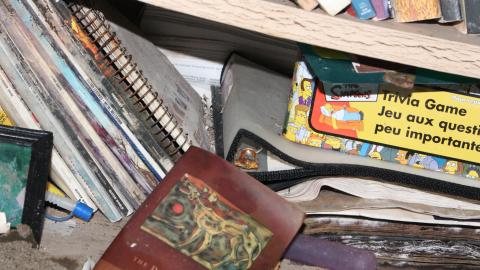 Once Upon A Dream JAN '21 - IMG_5516.JPG