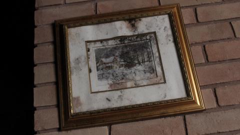 Once Upon A Dream JAN '21 - IMG_5484.JPG