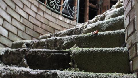 Once Upon A Dream JAN '21 - IMG_5475.JPG