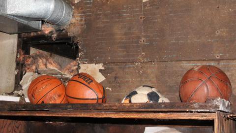 Once Upon A Dream JAN '21 - IMG_5468.JPG