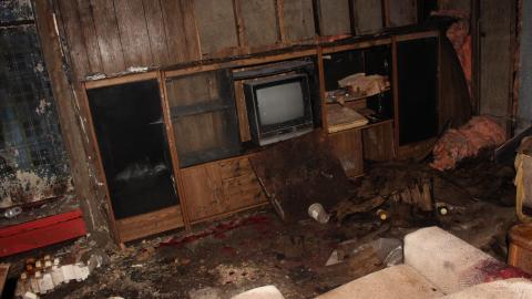 Once Upon A Dream JAN '21 - IMG_5450.JPG